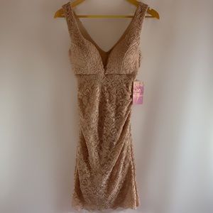 NEW Emerald Square Nude Dress